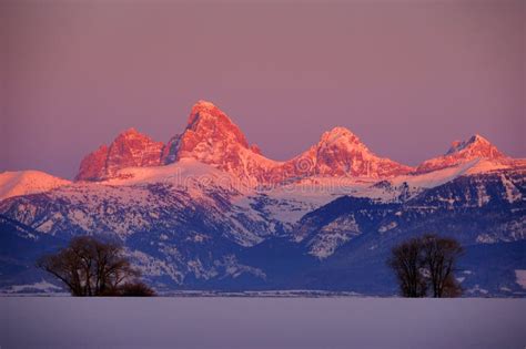 Teton Mountain Range Idaho Side Sunset Alpen Glow In Winter Blue Sky