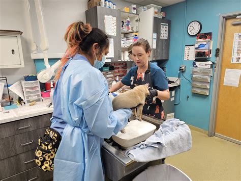 San - When tragedy strikes, we’re here for animals and the people who