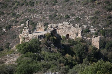 Монфорт - ЛАИ