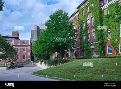 Dartmouth College Campus With Ivy Covered Building Stock Photo Alamy