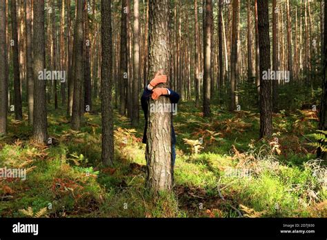 Mature Woman With Hugging Tree Trunk In Forest During Autumn Stock Photo Alamy