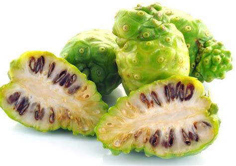 Моринда НСП: купить, цена, отзывы