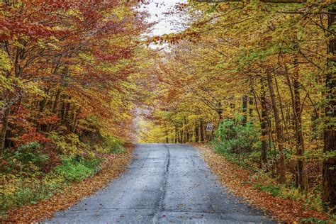 Après Midi Pluvieux Dautomne Sur Une Route De Campagne Située Au