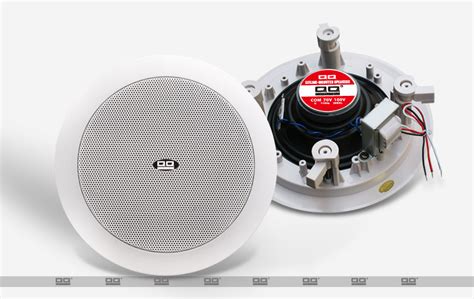 in-Ceiling Speaker in-Wall Ceiling Speaker Music Background System ...