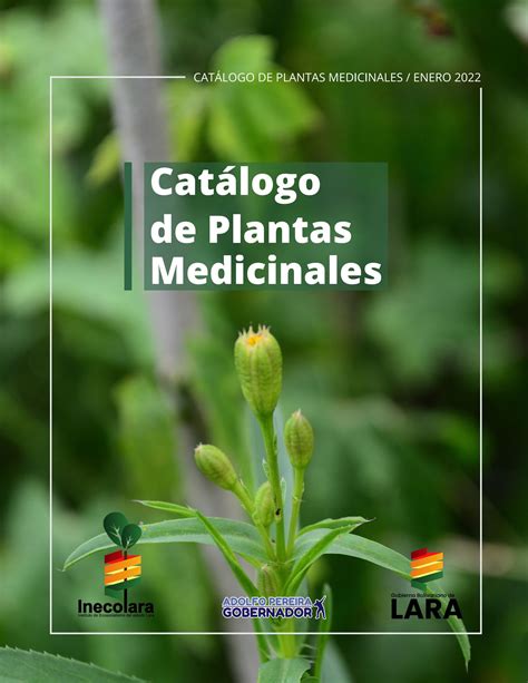 Catálogo De Plantas Medicinales By Inecolara Issuu