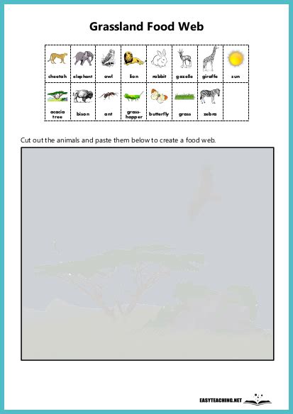 Food Chain Worksheet Ks2 - Worksheets For Kindergarten