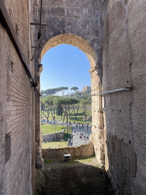 Colosseo Foro Romano Palatino On Twitter Rt Edllewellynfcdo