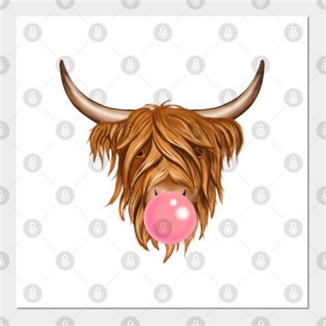 Highland Cow With Bubble Gum Highland Cow Posters And Art Prints