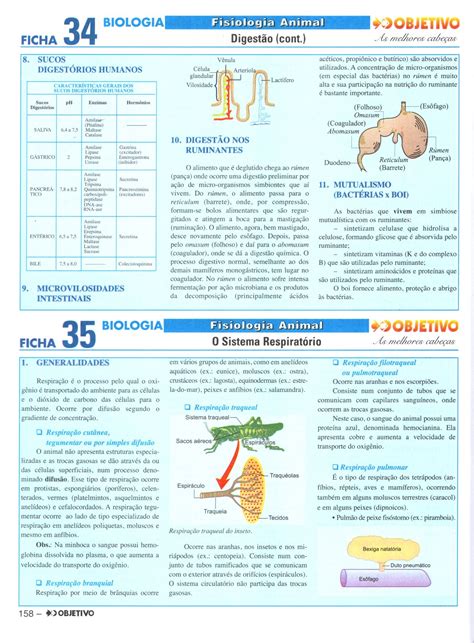 Apostila Biologia Objetivo 9