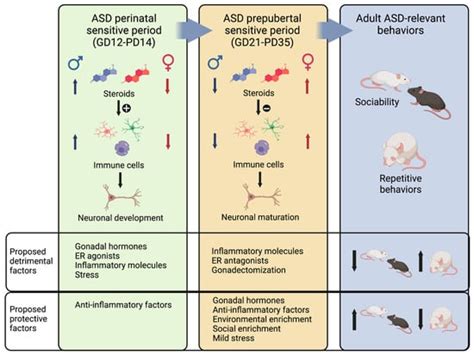 Sex Differences In Mouse Models Of Autism Spectrum Disorders Their Potential To Uncover The