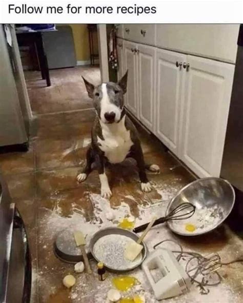 Memes 59 W Linky Gay NYC Dad