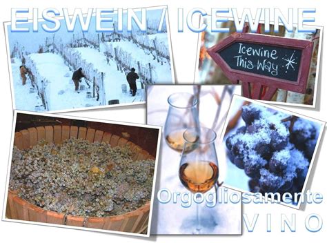 EISWEIN / ICEWINE: Orgogliosamente vino - Vinoway.com