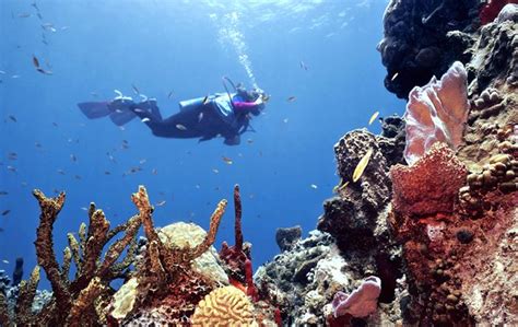 Scuba Diving in Belize - Belize Consulate in Israel