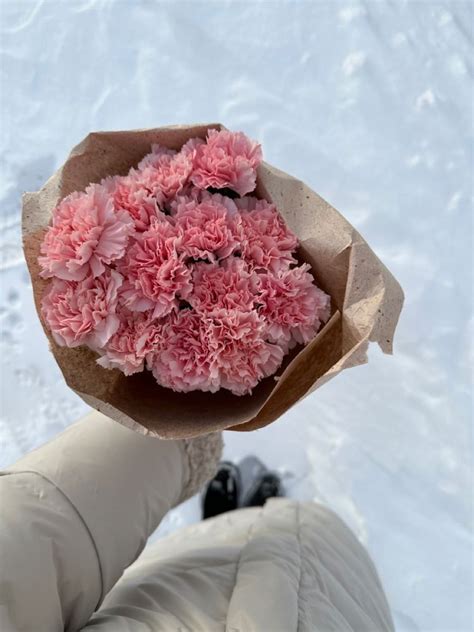 Розовые диантрусы | Розовые гвоздики, Цветы, Букет цветов