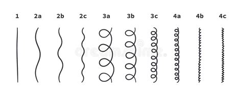 Classification Of Hair Types Straight Wavy Curly Kinky Scheme Of Different Types Of Hair