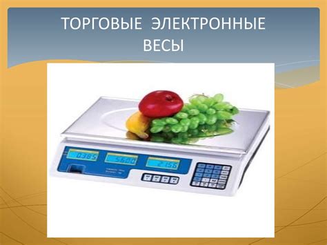 Виды весов - презентация онлайн