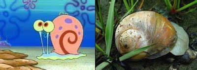 Karakter Spongebob Terinspirasi Dari Hewan Invertebrata