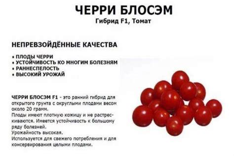 Томат Черри блосэм
