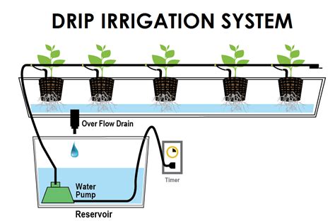 Simple Drip Irrigation System Diagram