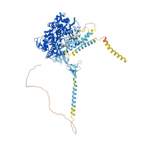 Rcsb Pdb Af Afp F Computed Structure Model Of Thyroid Peroxidase