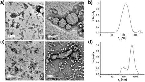 TEM images and particle size distribution of P2 polymer solutions after ...