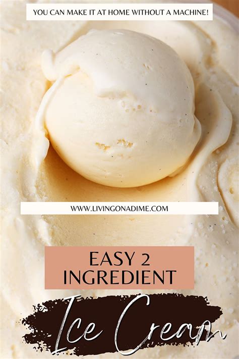 12 Easy 2 Ingredient Ice Cream Recipes You Will Love