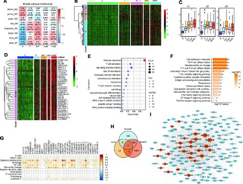 Identification Of Hmie Subtype Specific Lncrnas A Correlation