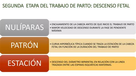 Fisiologia Del Trabajo De Parto Ppt