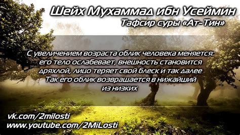 «Тафсир суры Ат Тин» Шейх ибн Усеймин - YouTube