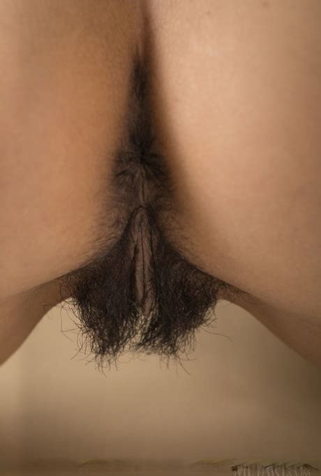 Hairy Ass Close Up Porn Pics Anal Sex Photos AnalPics