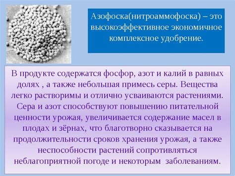 Азофоска состав: состав, применение удобрения на огороде и в саду ...