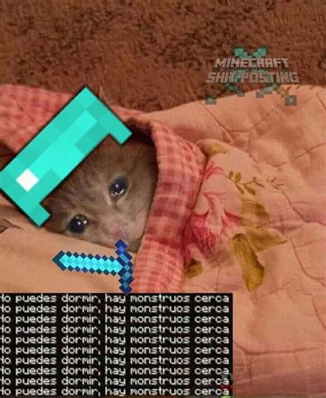 gaming memes minecraft cat humor  memes cat  minecraft