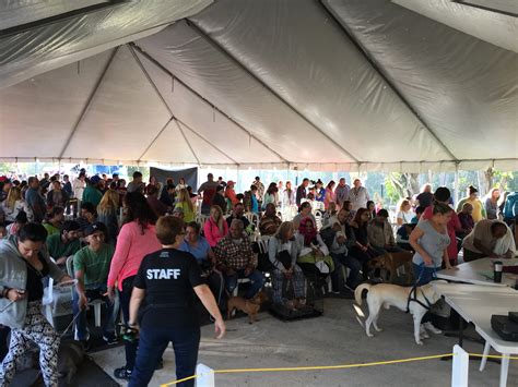 MSPCA Veterinary Team Journeys To Puerto Rico • MSPCA-Angell