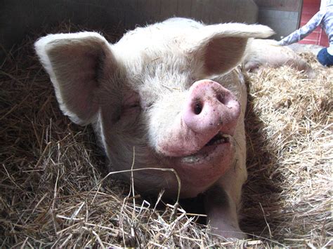 Gynecologists Explain How Deep Is The Vegina And How It Grows - RYZE Superfoods