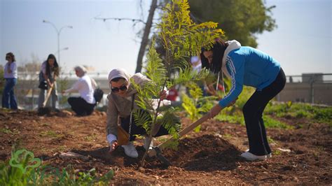A Green Partnership Between Apn And Edgo Company
