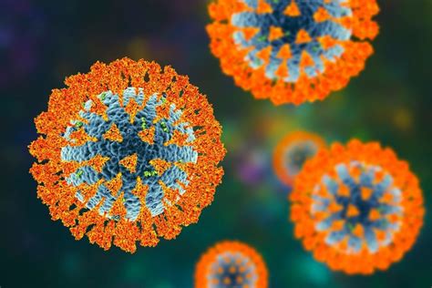 Sars Cov 2 Has Advanced To Make You Sick Faster Foppacasa