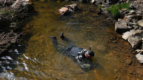 After Californias Heavy Rains Gold Seekers Are Giddy The New York Times