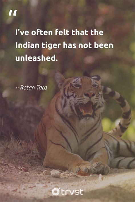A Tiger Sitting On The Ground With Its Mouth Open
