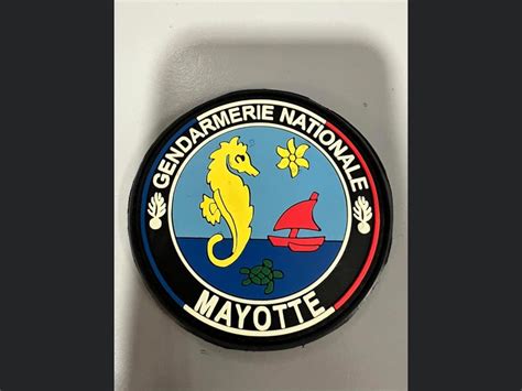 Pin De Patrice Monsinjon En Insignes Gendarmerie Nationale