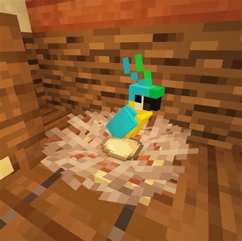 how to feed a parrot in minecraft