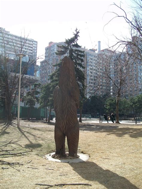 English Expression of the Day: bears