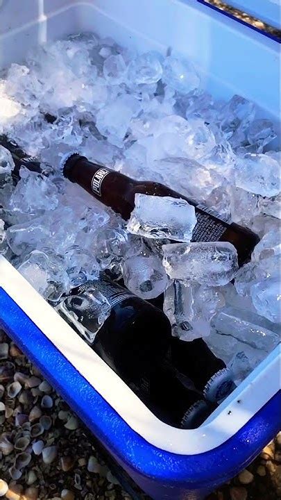 Caribe Beer 🍻🥵🔥 Youtube