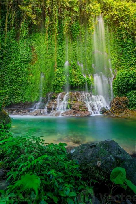 page  nature stock  images  backgrounds