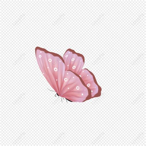 Flying Pink Butterfly Fly Butterfly Flying Butterfly Png Transparent