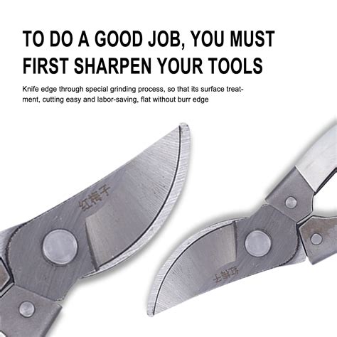 Qaailabf Professional Bypass Pruning Shears 8 Inch Carbon Steel Garden
