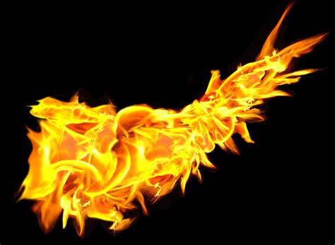 Wings Of Fire Wallpapers 74 Pictures Wallpaperset
