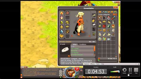 DOFUS Présentation Reyzen Sacrieur 200 TERRE YouTube