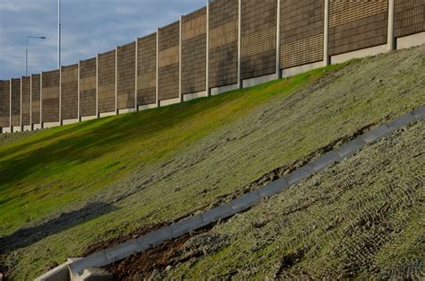 The Role Of Vegetation In Erosion Control Silver Leaf Swppp