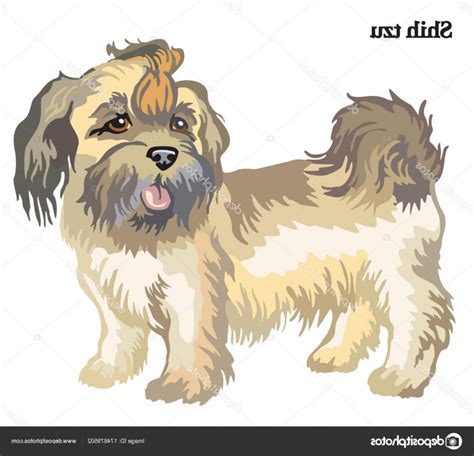 Shih Tzu Silhouette Vector at Vectorified.com | Collection of Shih Tzu ...