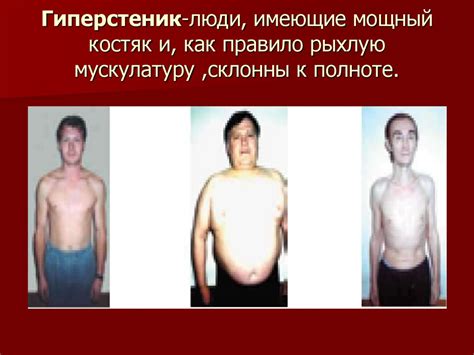 Типы телосложения - презентация онлайн